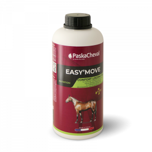 PASKACHEVAL - Easy Move