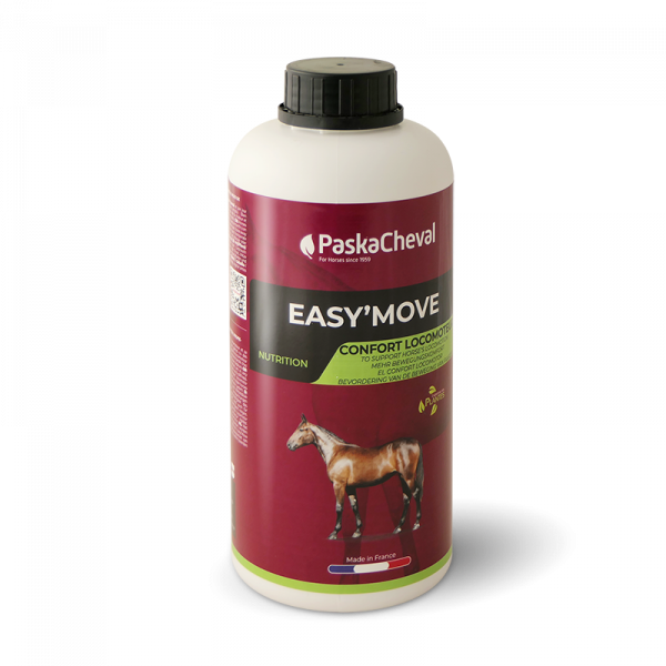 PASKACHEVAL - Easy Move