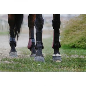 RIDING WORLD - Guêtres