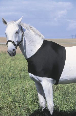 EQUITHEME - Protection d'Epaules Noir