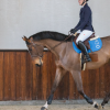 GEM - Tapis de selle "TEN" Bleu France – Image 2