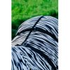 RIDING WORLD - Chemise anti-eczéma – Image 4