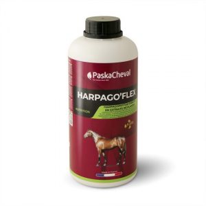 PASKACHEVAL - Harpago'flex