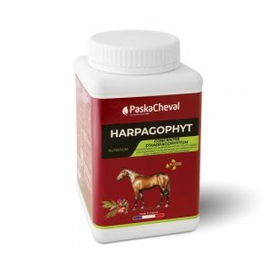 PASKACHEVAL - Harpagophyt