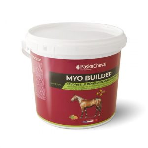 PASKACHEVAL - Myo builder