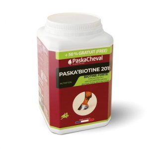 PASKACHEVAL - Paskabiotine 2015