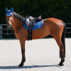 GEM - Tapis de selle "TEN" Bleu petrol – Image 4