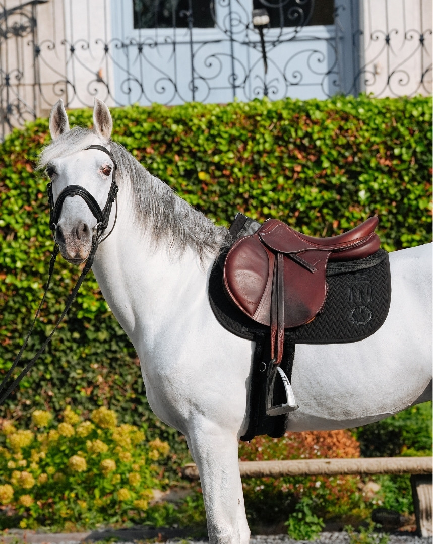 GEM - Tapis de selle "TEN" Noir/Noir – Image 3