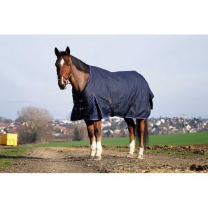 EQUITHEME - Chemise "Classic 1200D" Marine