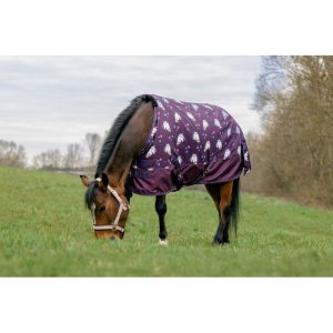 EQUITHEME - Chemise "Licorne 600D" Prune