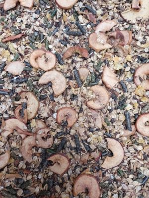 PLANET'EQUESTRE - Mash "Magie de noël"