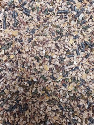 PLANET'EQUESTRE - Mash "Élan de souplesse"