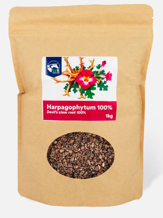 REVERDY - Harpagophytum