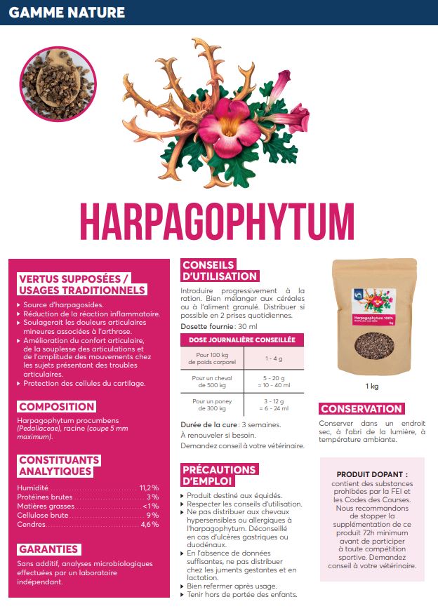 REVERDY - Harpagophytum – Image 3