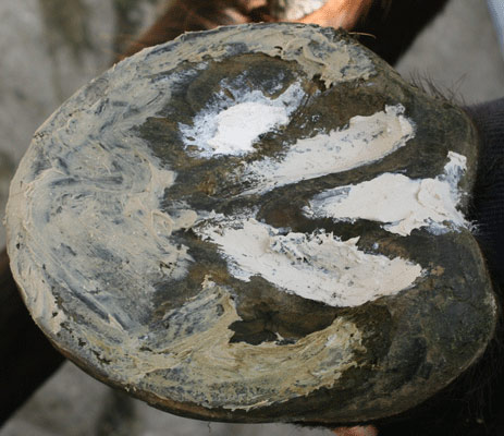 RED HORSE - Artimud – Image 4
