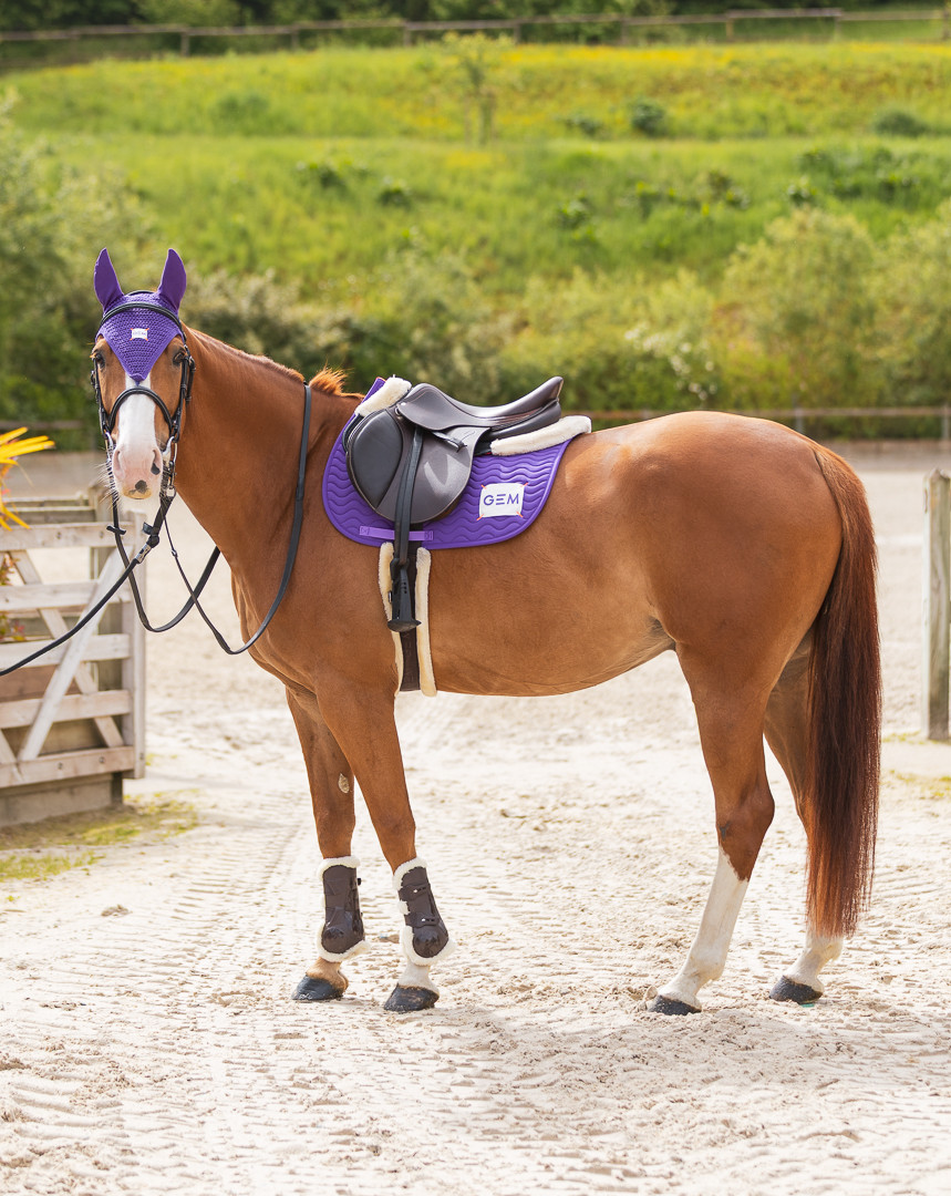 GEM - Tapis de selle "Touc Touc" Violet – Image 4
