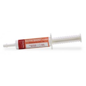 RAVENE - Nutri'boost Flash
