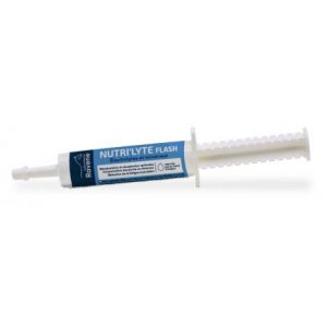 RAVENE - Nutri'lyte Flash