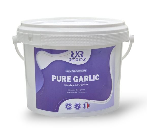REKOR - Ail Semoule "Pure Garlic" 1Kg
