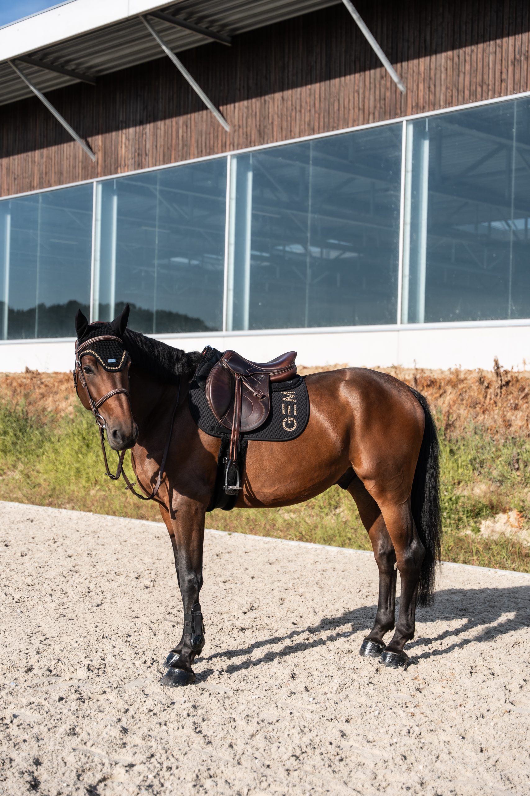 GEM - Tapis de selle "TEN" Noir/Léopard – Image 3