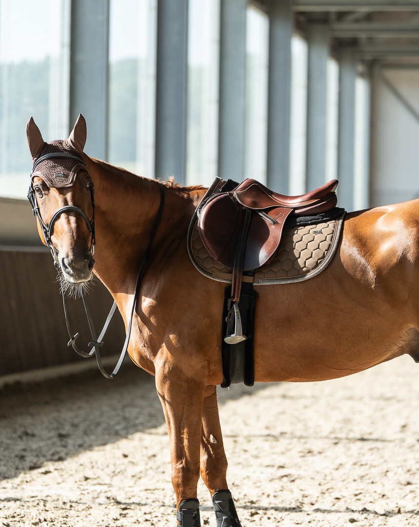 GEM - Tapis de selle "Atlas" Brownie – Image 4