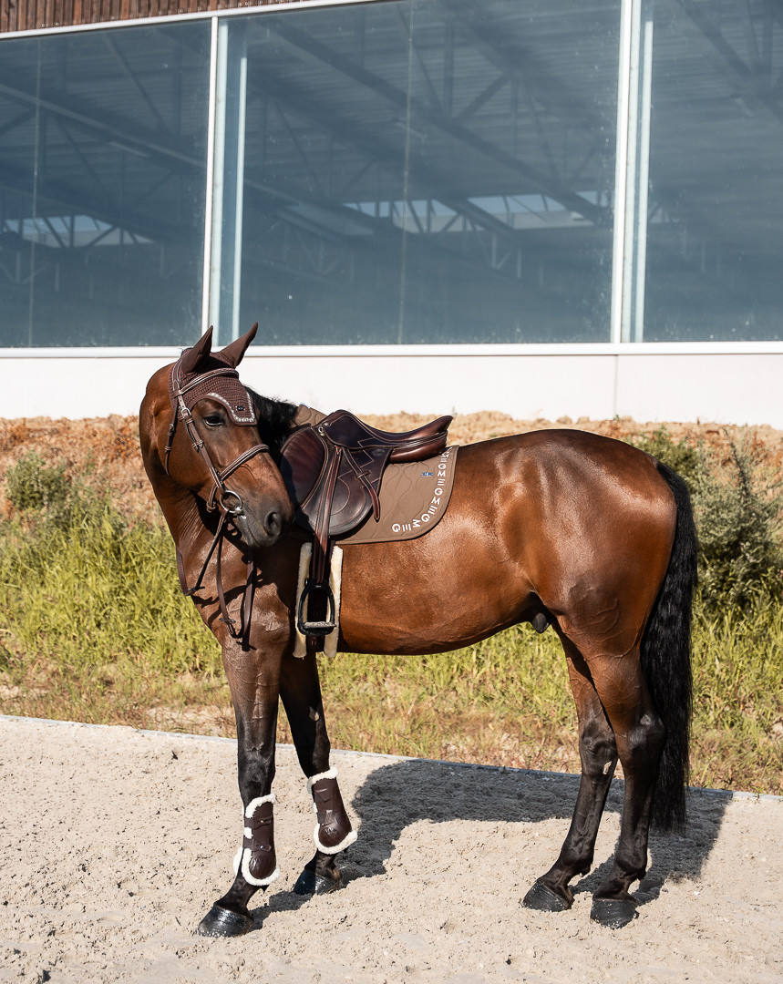 GEM - Tapis de selle "Essentiel" Tiramisu/Écru – Image 4