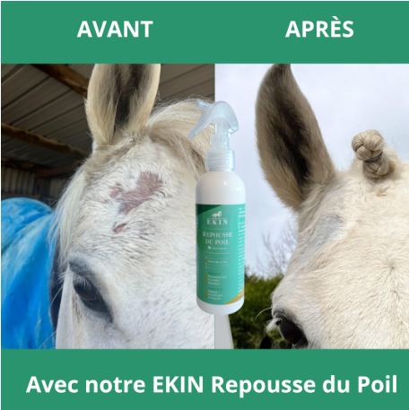 EKIN - Repousse du Poil – Image 2