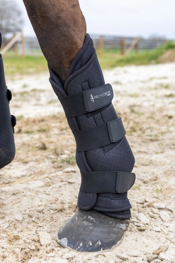 PRO-CONFORT - Stable Boots "Otello" Noir – Image 8