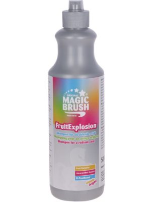 MAGIC BRUSH - Shampoing "Fruit Explosion"